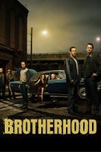 Brotherhood (T3)
