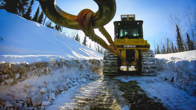 Imagen de La fiebre del oro bajo...: En la brecha - 3