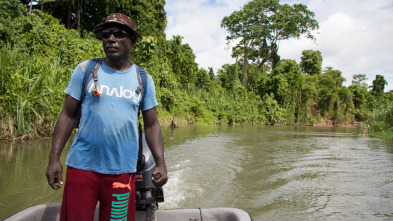 Imagen de El oro de los...: Un onza a la hora - 2