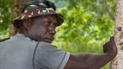 Imagen de El oro de los...: El cocodrilo - 2