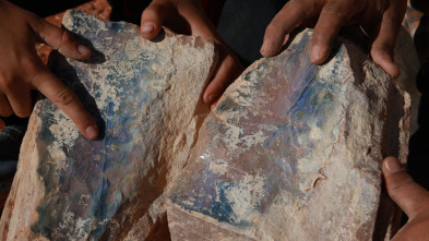 Imagen de Cazadores de gemas: Saltan chispas - 2