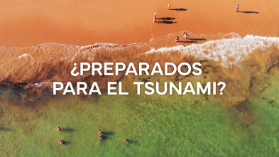 ¿Preparados para el Tsunami?