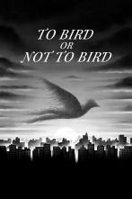To Bird or Not To Bird