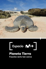 Espacio M+ (T1): Planeta Tierra. Fascina verlo tan cerca