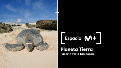 Espacio M+ (T1): Planeta Tierra. Fascina verlo tan cerca