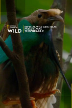 Imagen de Especial Wild Asia: Islas paradisíacas  - 1