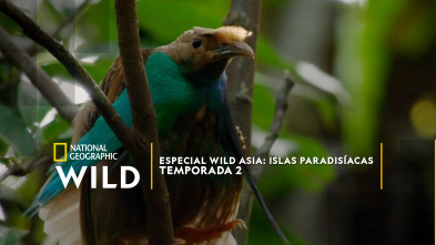 Imagen de Especial Wild Asia: Islas paradisíacas  - 2