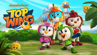 Top Wing (T2): Salto de Cataratas; Guías Turísticos Top Wing