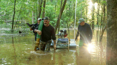Imagen de El oro de los rebeldes: Estados Confederados - 2