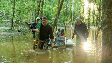 Imagen de El oro de los rebeldes: Estados Confederados - 3