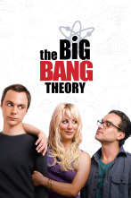 The Big Bang Theory (T1)