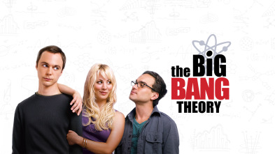 The Big Bang Theory (T1)