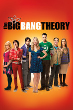 The Big Bang Theory (T5)