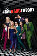 The Big Bang Theory (T6)