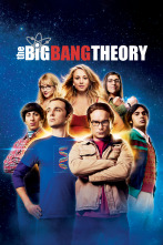 The Big Bang Theory (T7)