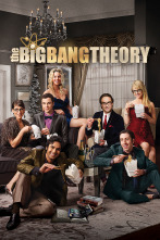 The Big Bang Theory (T8)