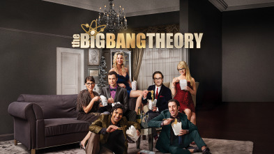 The Big Bang Theory (T8)