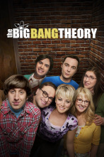 The Big Bang Theory (T9)