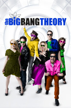 The Big Bang Theory (T10)