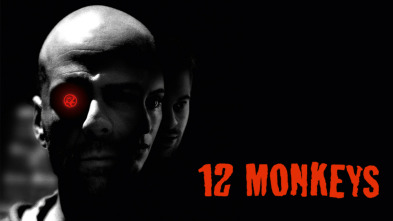 Imagen de Doce monos - 2