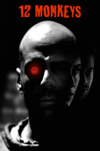 Imagen de Doce monos - 1