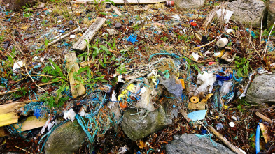 Imagen de Plásticos en el paraíso - 7