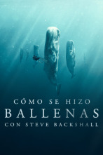 Cómo se hizo Ballenas con Steve Backshall 