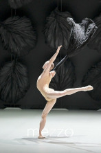 Imagen de Malandain Ballet Versailles: Les Saisons - 2