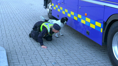 Imagen de Control de fronteras:...: Paddy halla drogas - 2