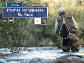 Imagen de Truchas portuguesas (T1) - 2
