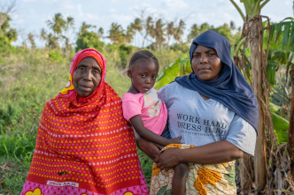 La batalla contra la malaria