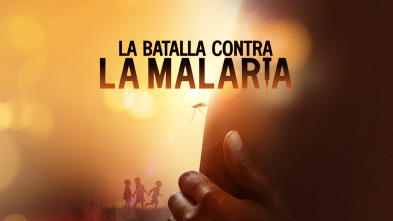 La batalla contra la malaria