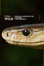 Imagen de Especial Serpientes de Leyenda  - 1