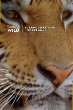 Imagen de El reino secreto del tigre de Amur - 1