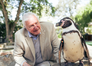 Attenborough y el monstruo jurásico