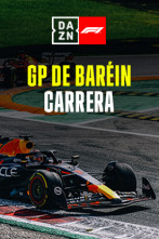 GP de Baréin (Sakhir): GP de Baréin: Carrera