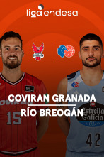 Jornada 31: Coviran Granada - Río Breogán