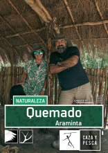 Imagen de Quemado (T1): Araminta - 1