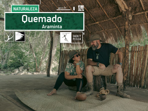 Imagen de Quemado (T1): Araminta - 2