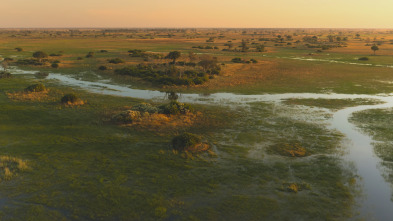 Islas: laboratorios de...: Delta del Okavango