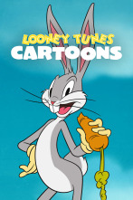Looney Tunes Cartoons (T1)