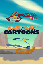 Looney Tunes Cartoons (T3)
