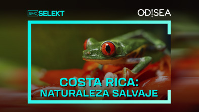 Costa Rica: naturaleza salvaje 