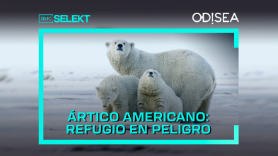 Ártico americano: refugio en peligro