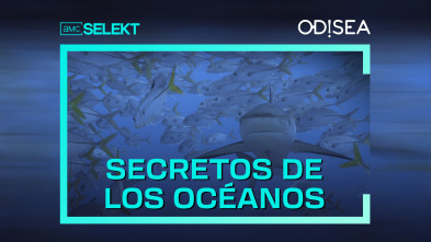 Secretos de los océanos