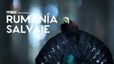 Imagen de Rumanía salvaje  - 2