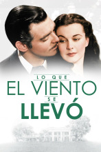 Imagen de Lo que el viento se llevó - 1