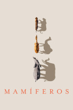 Mamíferos 