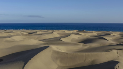 Islas Canarias:...: Gran Canaria y Fuerteventura