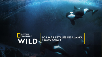 Imagen de Los más letales de Alaska  - 2